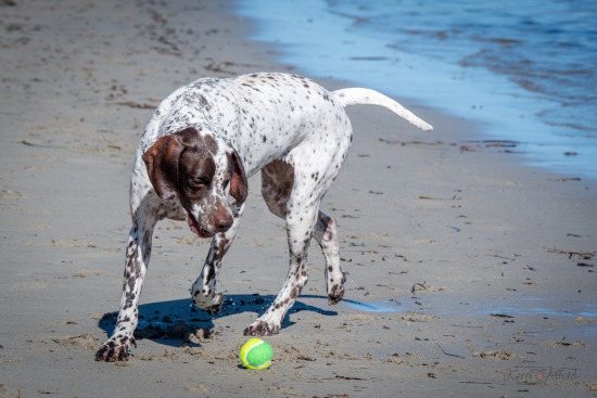 Ben & Hollie @ the beach 