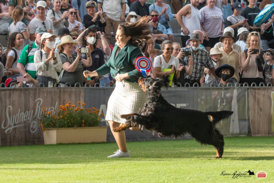 2022 Sydney Royal show