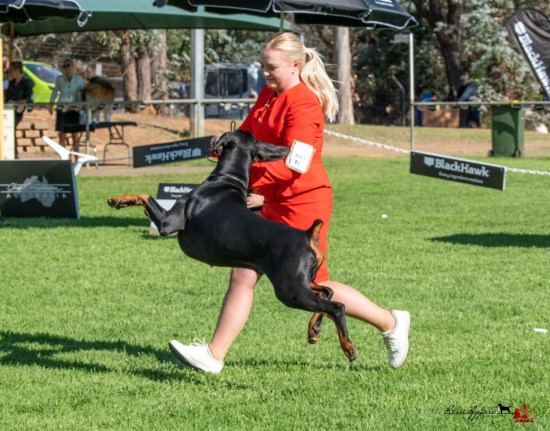 2023 Canberra Royal Show 