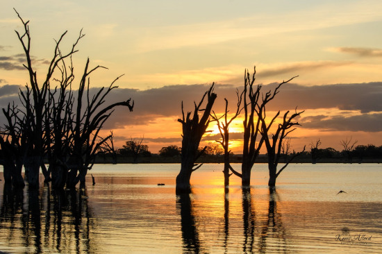 Lake Bonney 