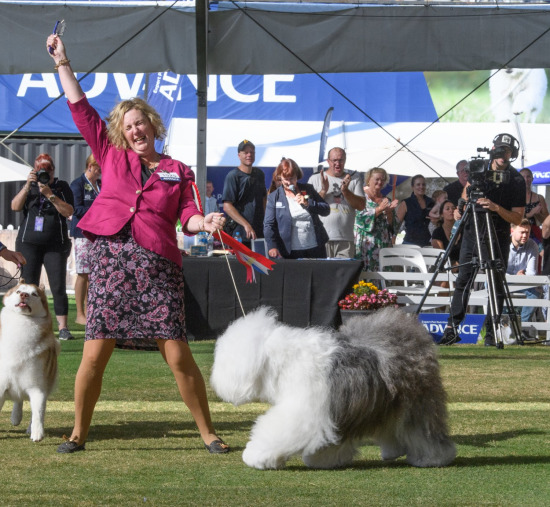 Sydney royal Dog News Photos 2024