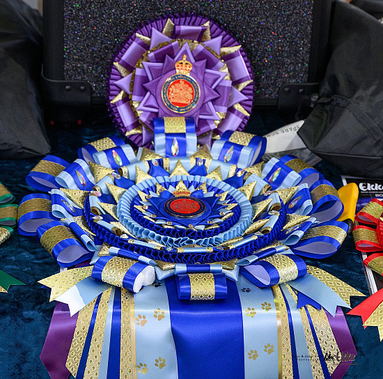 Ekka Media Photos 