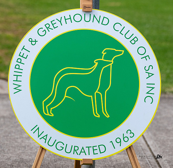 2025 Whippet & Greyehound Show