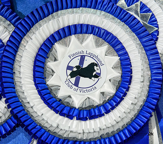 2025 Finnish Lapphund Show 