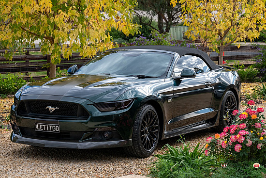 Mustang