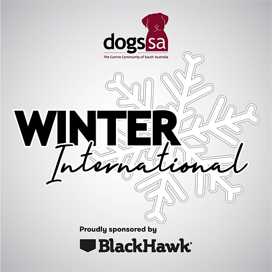 2026 Winter Internationals 